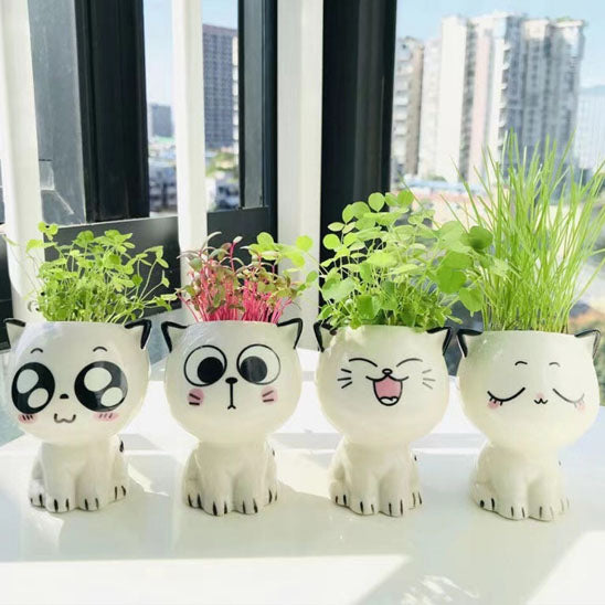 Pot de fleur chat en céramique